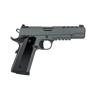 Tisas 10100512 1911 Night Stalker .45 ACP 5" 8+1 Platinum Grey