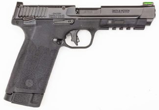 SMITH & WESSON M&P 22 MAGNUM BLK 4.35" 2-30+1RD