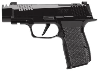 SIG SAUER P365 AXG LUXE 380ACP PISTOL 3.1" BLACK PEARLESCENT, O.R. 3-12RD MAGS