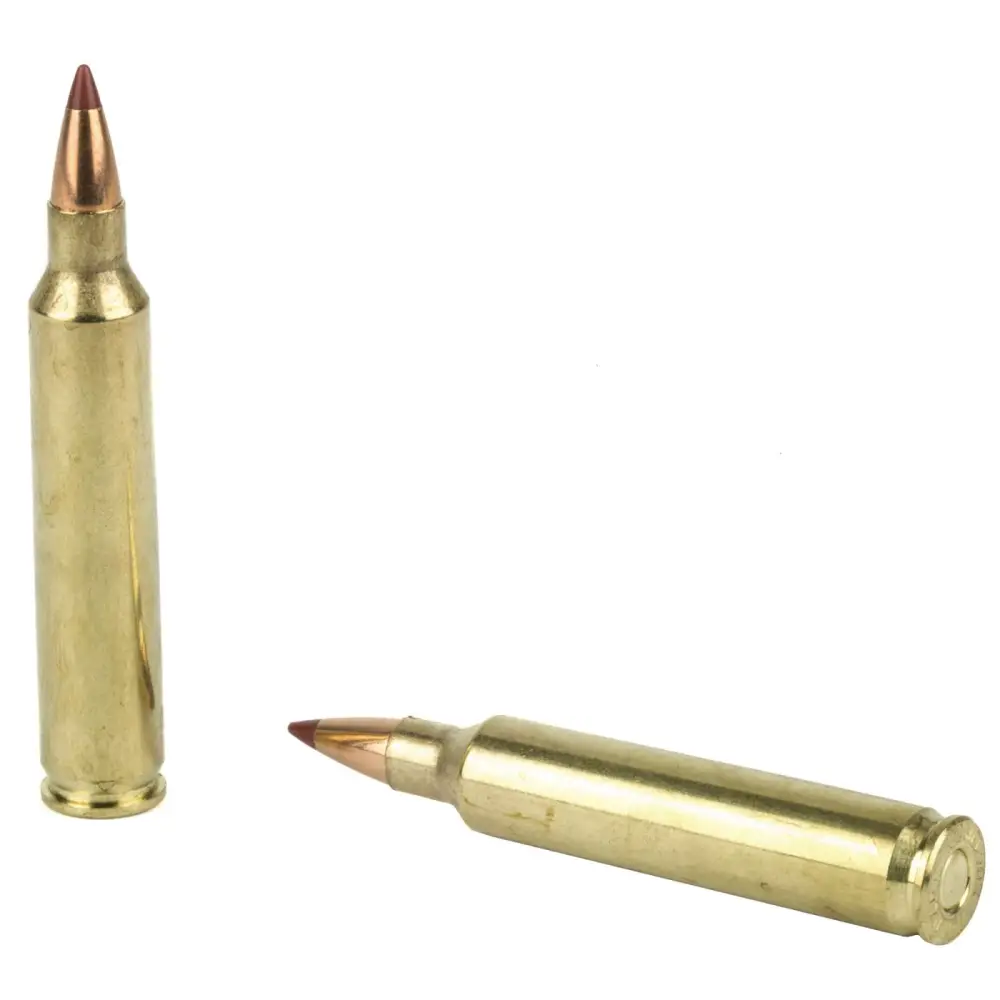 HORNADY 204 RUGER 24 GR NTX® SPF 20RD/BX 10BX/CS - Image 3