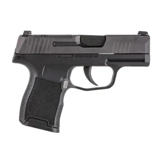 SIG SAUER P365 380ACP PSTL BLK NIGHT SIGHTS 2-10RD MAGS