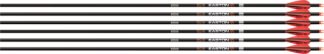 EASTON ARROW 6.5MM MATCH GRADE - 400 W/3" AAE HYBRID VANES 6PK