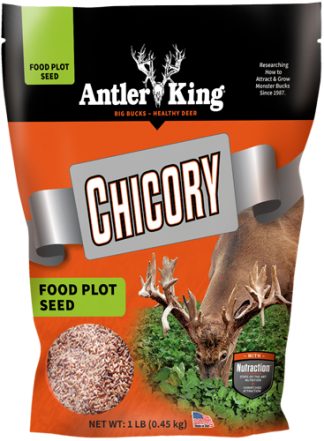 ANTLER KING CHICORY 1# BAG - PERENNIAL 1/4 ACRE
