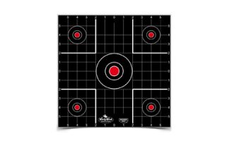 B/C DIRTY BIRD SIGHT IN TGT 12-12"