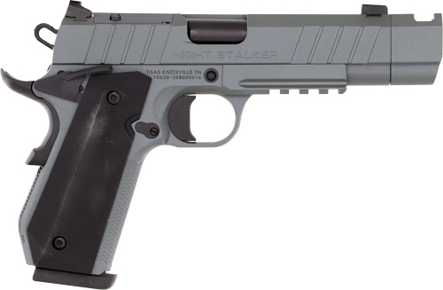 TISAS 1911 B9BA NSSF-C 9MM - 4.25" BBL 10RD W/CASE GREY