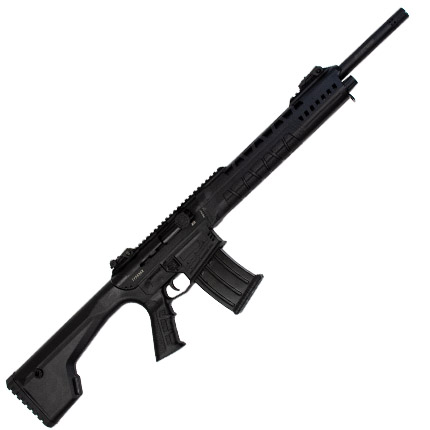 Typhoon 12Ga 20" Auto