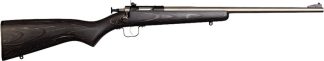 CRICKETT RIFLE G2 22LR - S/S BLACK LAMINATE
