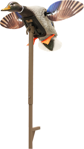 MOJO ELITE SERIES MINI MALLARD - DRAKE DECOY