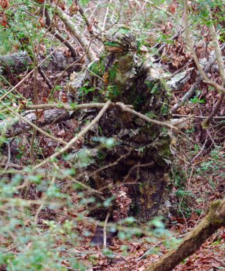 TITAN LEAFY SUIT MOSSY OAK - OBSESSION NWTF L/XL PANTS/TOP