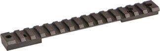 WARNE BASE TACT RAIL REMINGTON - 700 LONG ACTION