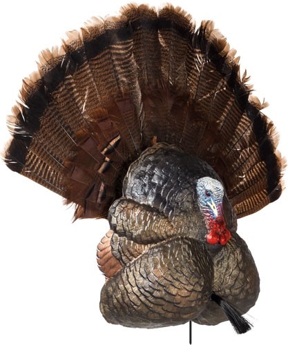 FLEXTONE THUNDER CREEPER - STRUTTER DECOY W/ FOLDING FAN - Image 4