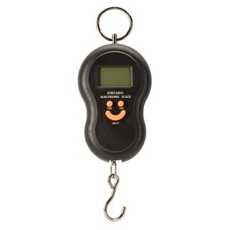 Carbon Express CX Bow Scale