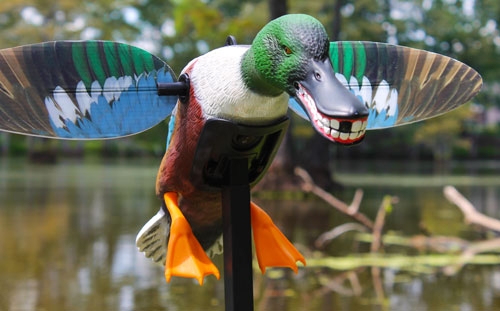 MOJO ELITE SERIES SPOONZILLA - MALLARD DRAKE DECOY - Image 3