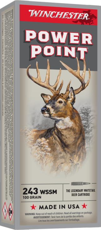 WINCHESTER SPR-X 243WSSM 100GR PP