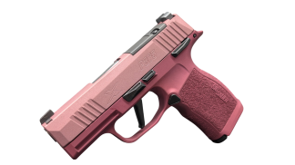 SIG SAUER P365X 9MM PSTL 3.1" TWO TONE BLUSH MS 2-12RD OPTC PLTE CVR