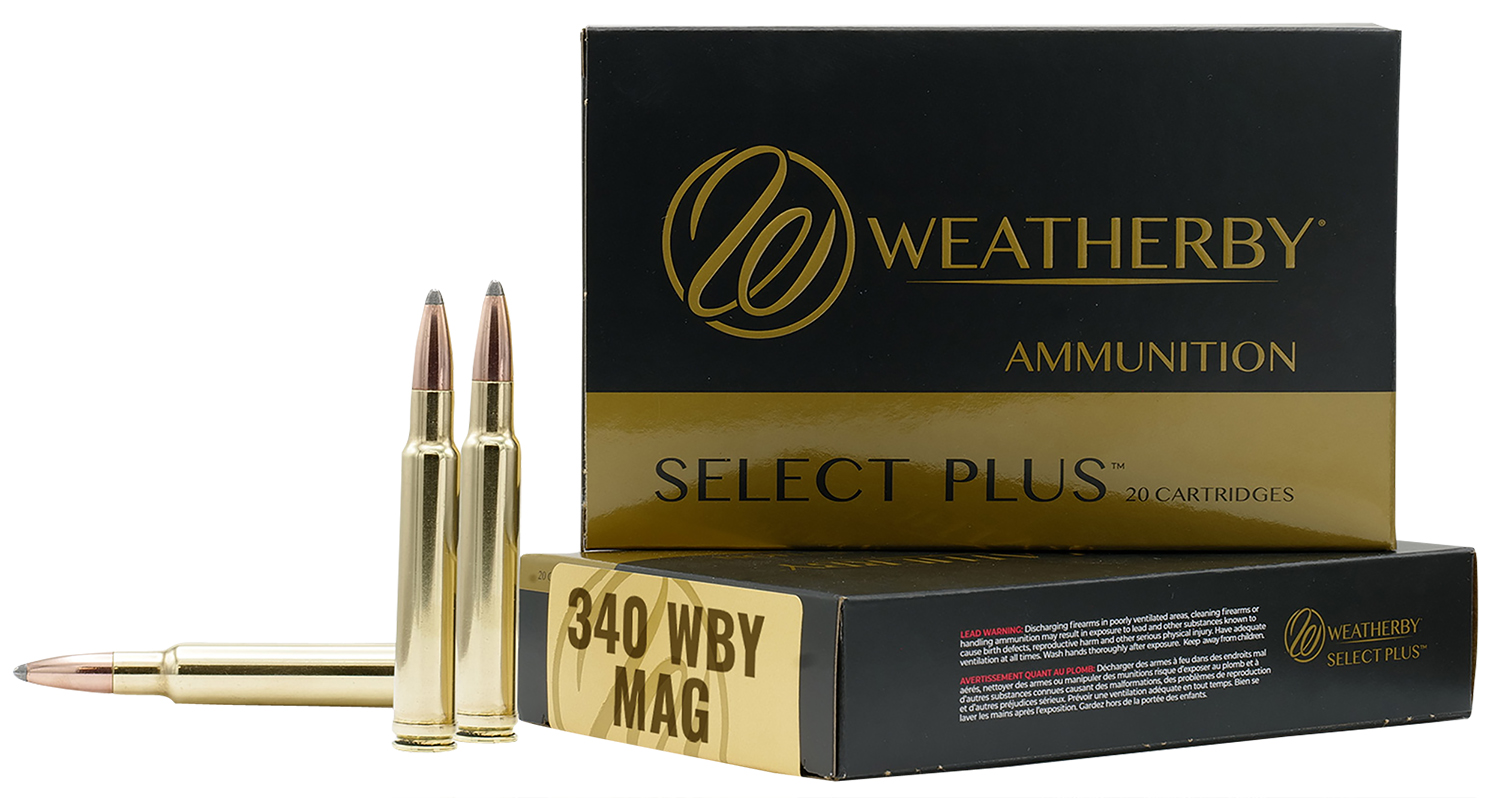 WEATHERBY 340WBY 225GR HORNADY INTERLOCK