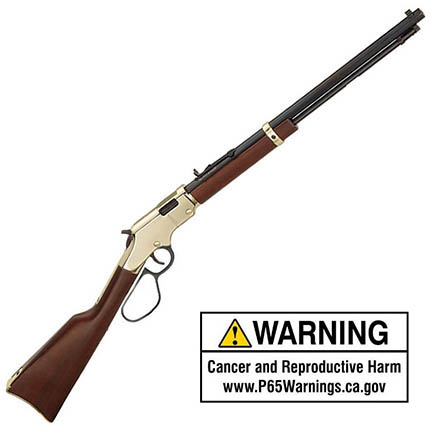 HEN H4 Golden Boy 22LR Lg-Lp