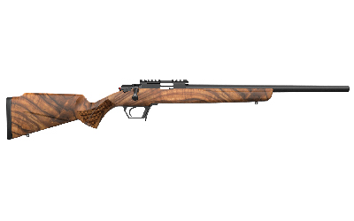RETAY ASEND 22LR 20" 10RD BLK WLNT