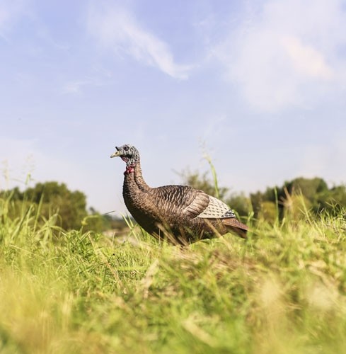 FLEXTONE THUNDER CHICK UPRIGHT - HEN DECOY W/STAKE - Image 2