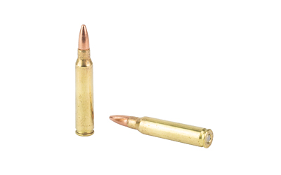 REM 223REM 55GR FMJ 250RD BUCKET WTP - Image 4